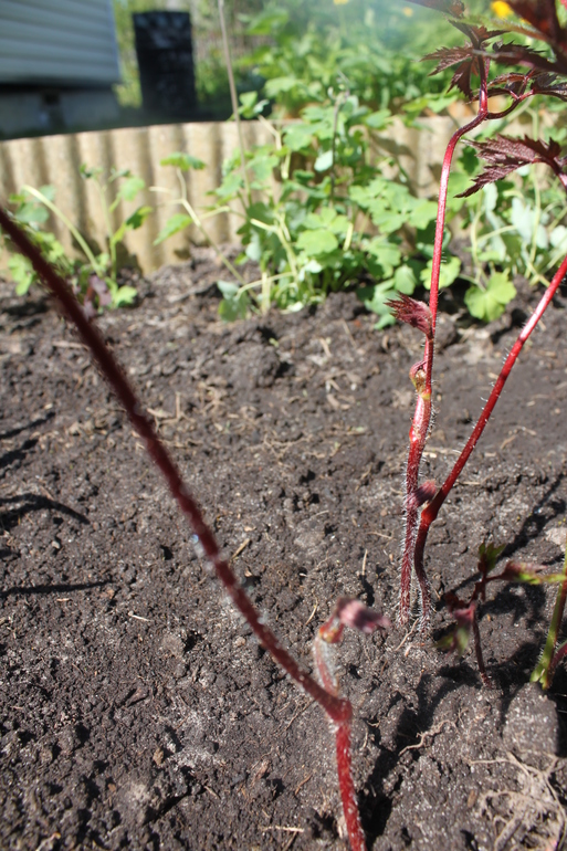 Помогите опознать