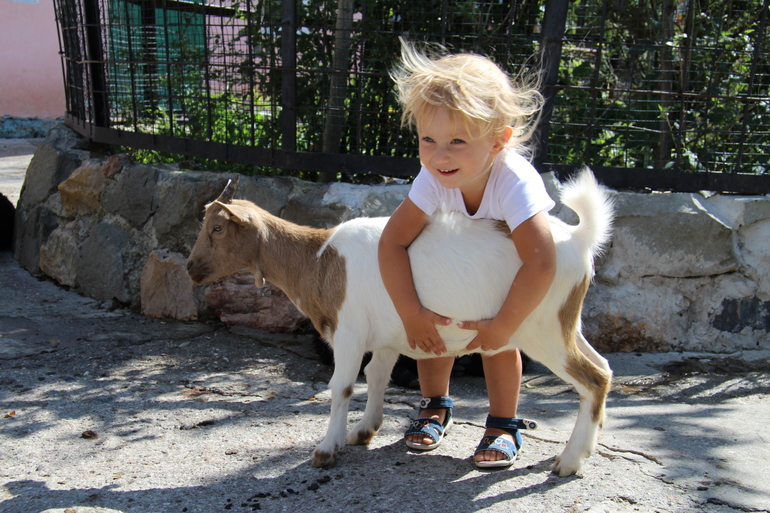 Отзыв про отдых в Никите