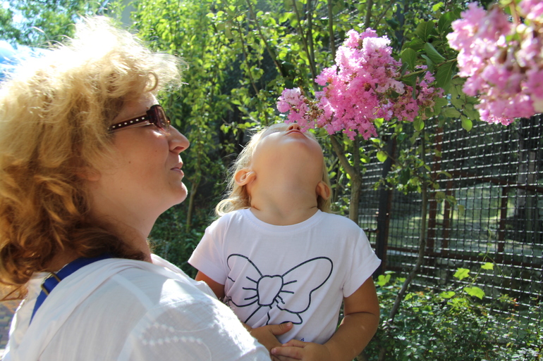 Отзыв про отдых в Никите