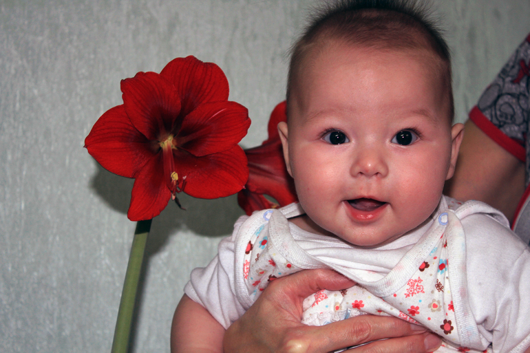 Хронология нашего первого года