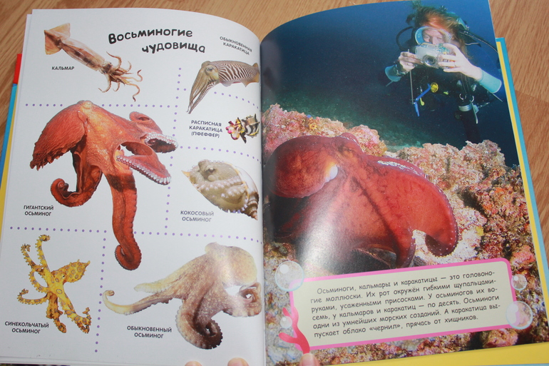 Мир в картинках