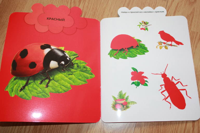 Изучаем цвета_Красный