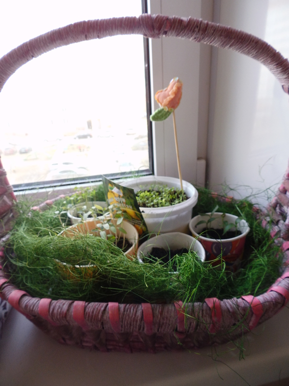 Наши весенние развлечения