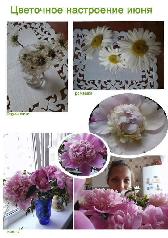 «Яркое лето»