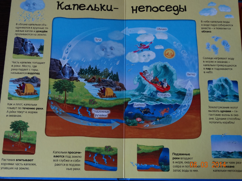 100 волшебных звуков планеты