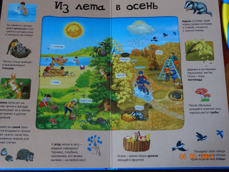 100 волшебных звуков планеты