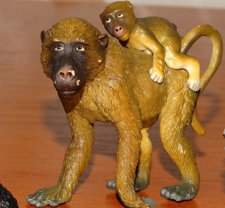 Наш домашний зоопарк.