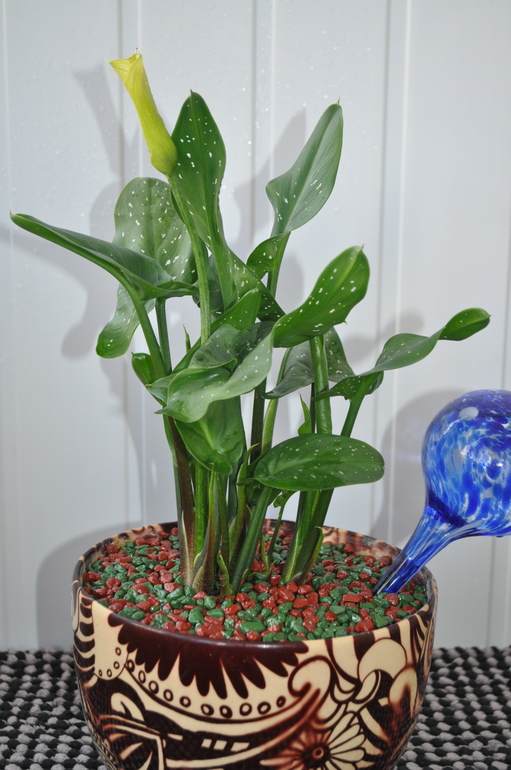 Что мы имеем на сегодняшний день:)