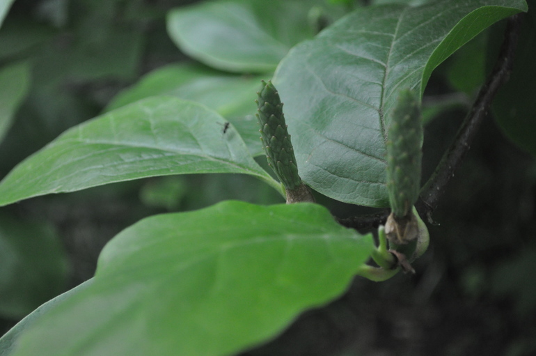 Для хорошего настроения:)