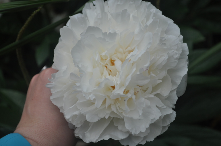 Для хорошего настроения:)