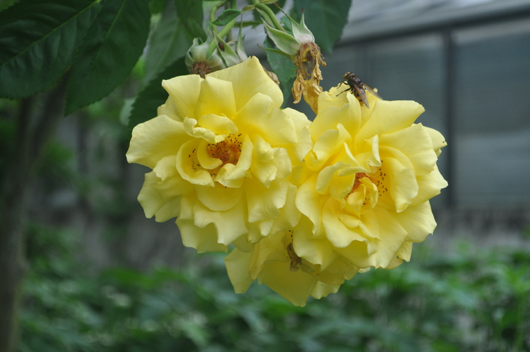 Для хорошего настроения:)