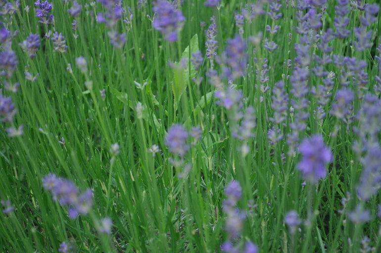 Для хорошего настроения:)