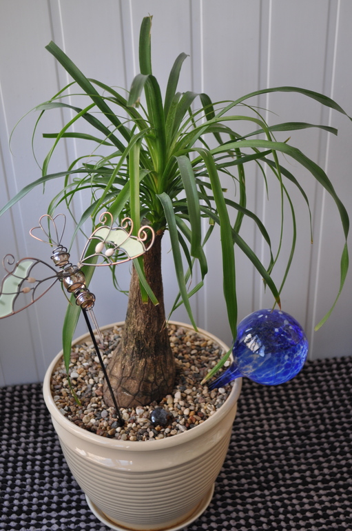 Что мы имеем на сегодняшний день:)