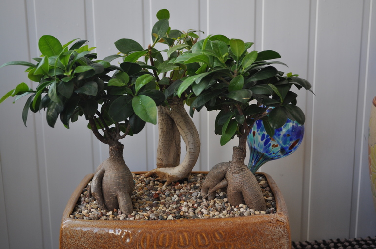 Что мы имеем на сегодняшний день:)