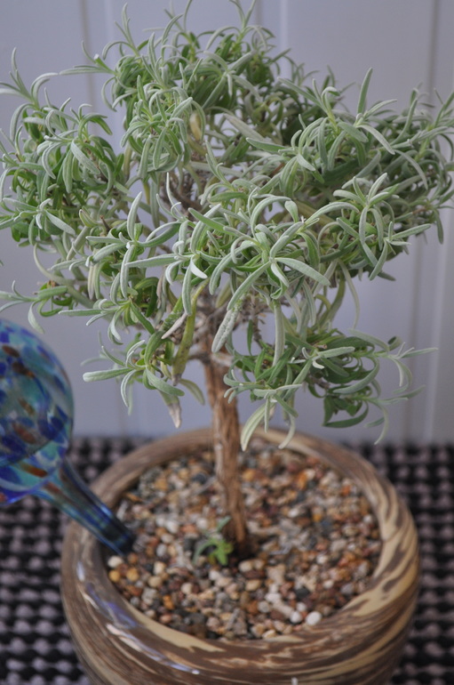 Что мы имеем на сегодняшний день:)