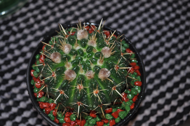 Обновочки:)