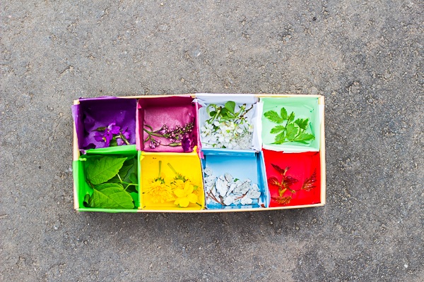 Цвета весны