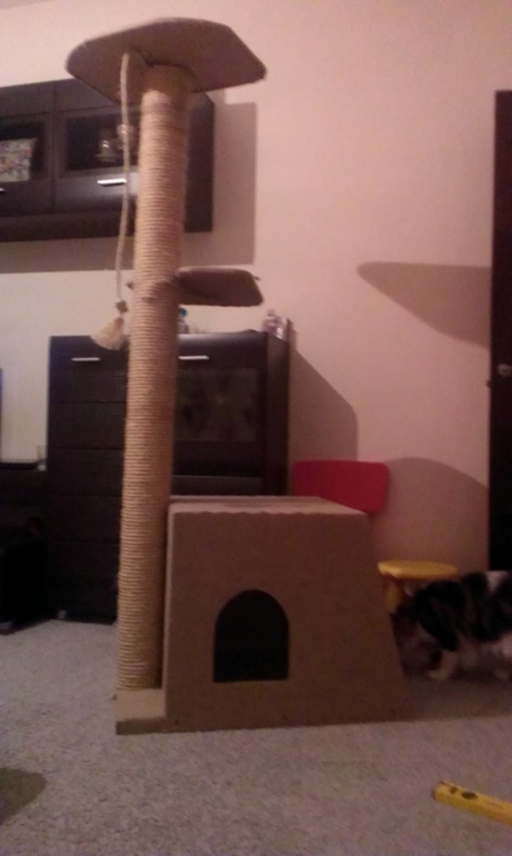 Когтеточка)))