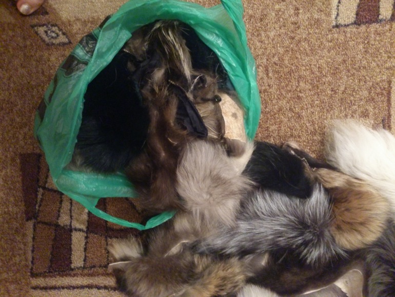 обрезки меха для рукоделок