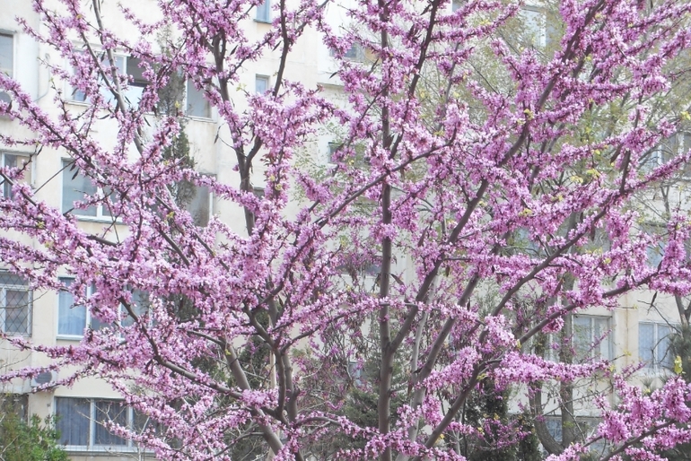 Крым моими глазами (семейные фото)