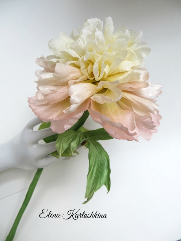 Интерьерный Пион древовидный.