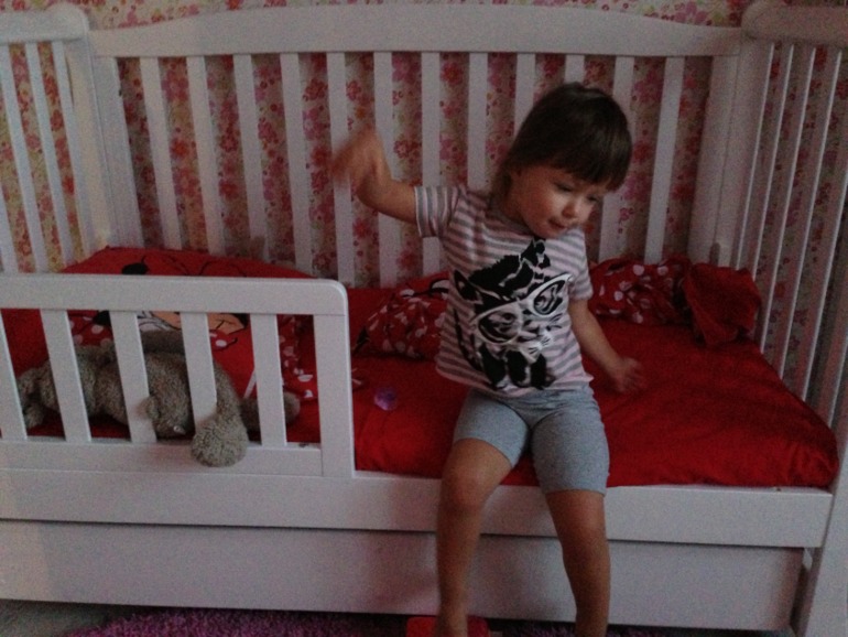 Один пазл Счасья ( 30.10.2013 г.)