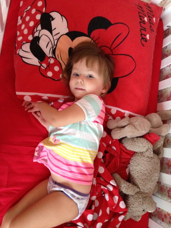 Один пазл Счасья ( 30.10.2013 г.)