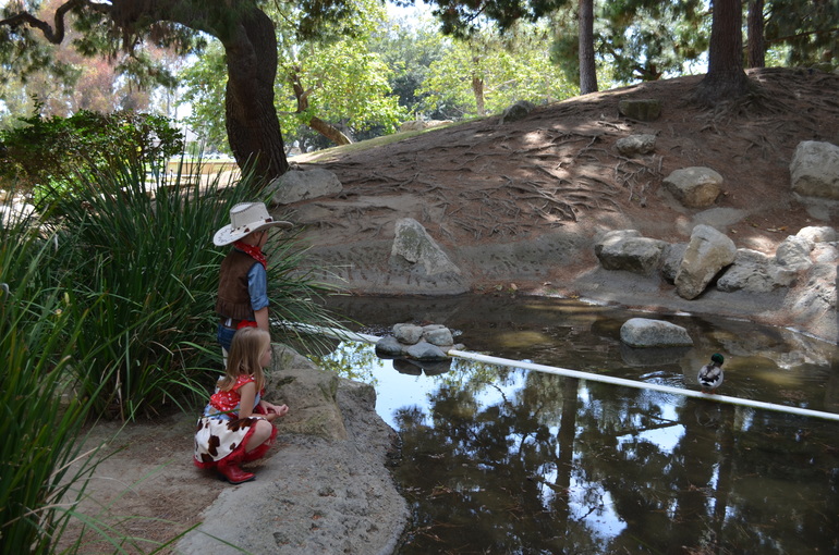 Ковбойский День Рождения наших Солнышек!!! 4 года