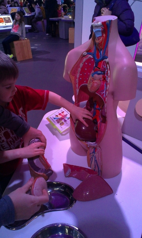 30 декабря. Научный музей!