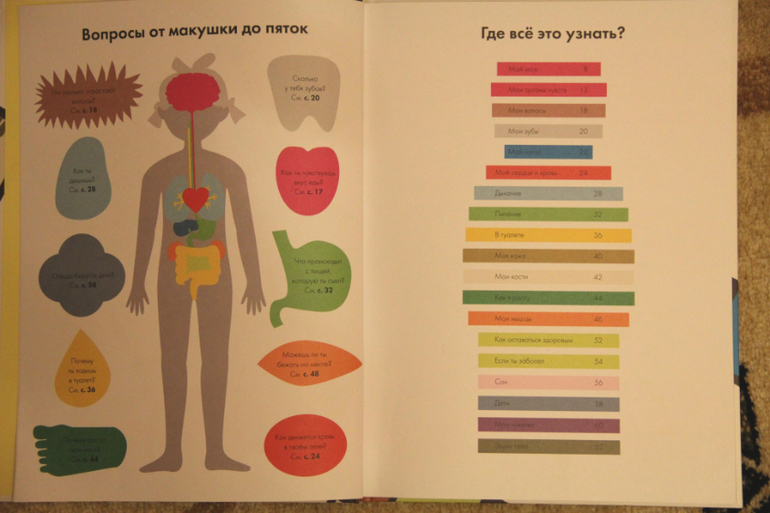 Мое тело от макушки до пяток