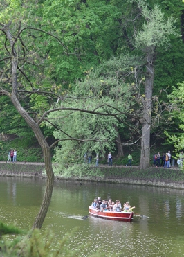 Лучший в мире Лимонад! или Майская Софиевка