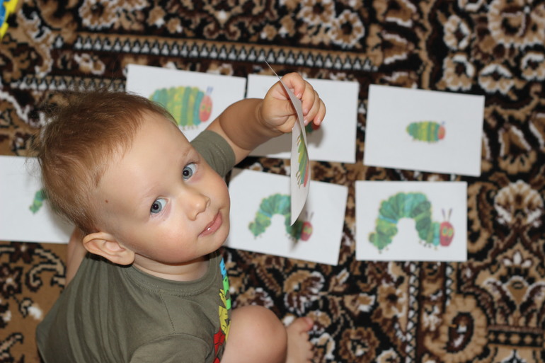 Про самую знаменитую гусеницу в мире!