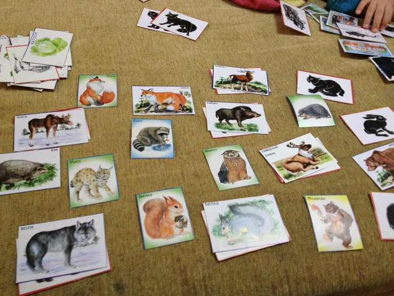 ТЗ Дикие животные