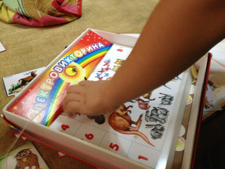 ТЗ Дикие животные