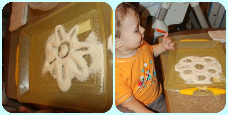 ТН Арктика и Антарктика. День 4 - Птицы