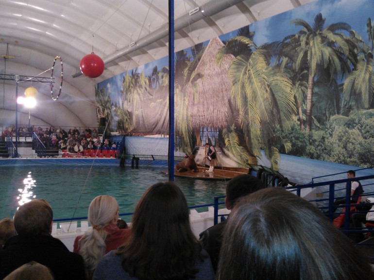 Детские развлечения в Москве!