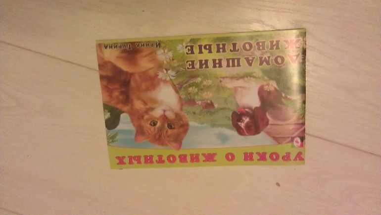 наша мини библиотека