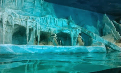 Экзотариум, океанариум