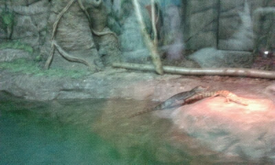 Экзотариум, океанариум