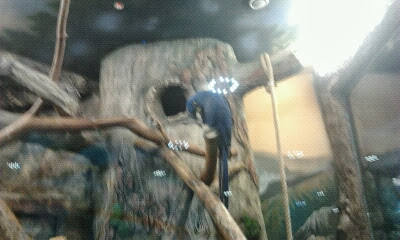 Экзотариум, океанариум