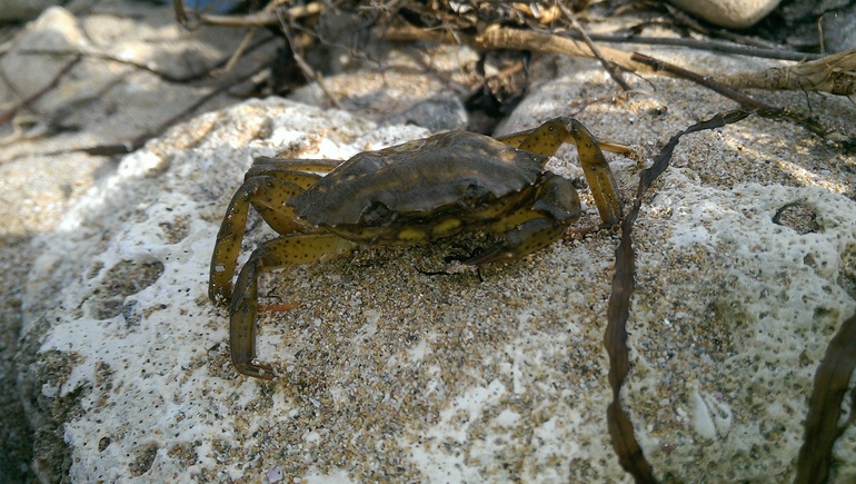 Отдых в Крыму, Евпатория!