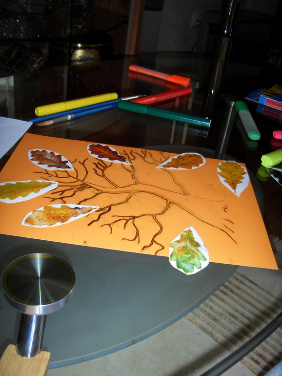 Наш первый Отчет ТЗ