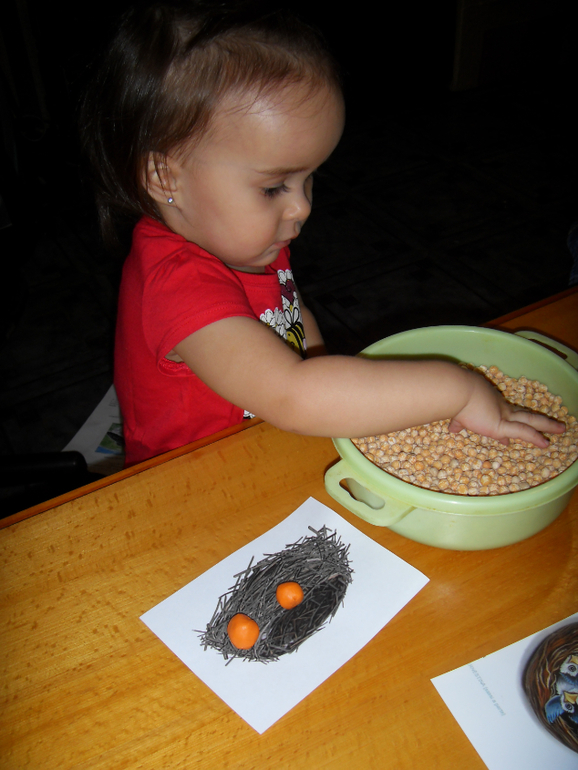 Наш отчет : ТН