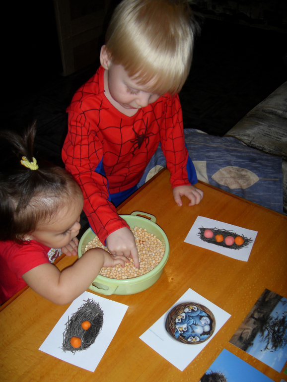 Наш отчет : ТН