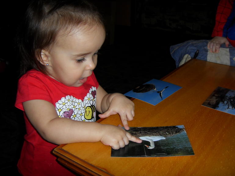 Наш отчет : ТН