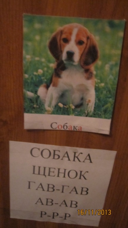 ТН "Домашние животные"