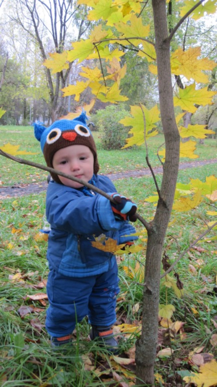 Наша осень....