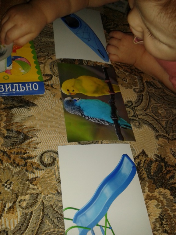 ТН ЦВЕТА День четвертый СИНИЙ