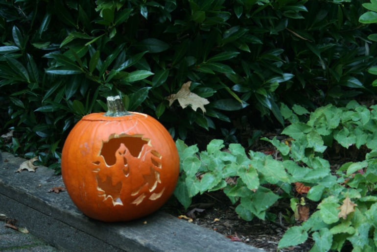 Осенние картинки