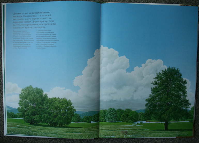 Большая книга о лесах и деревьях